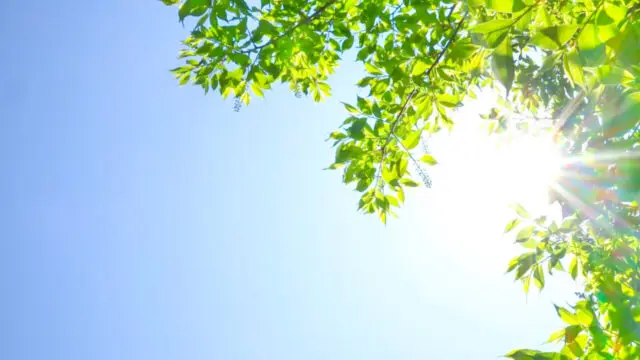 美しい日差しと希望