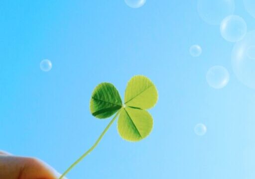 幸せのシンボルイメージ