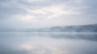 引き受けすぎている気持ちのシンボル