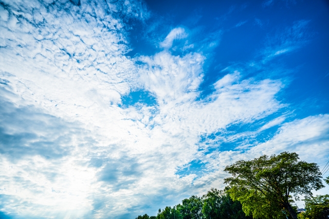 悩みの根っこには愛がある