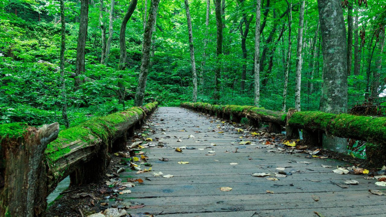 深層心理のシンボル