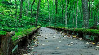 深層心理のシンボル