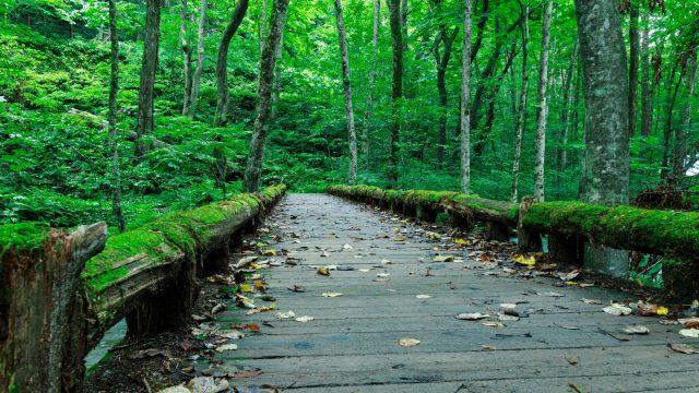 深層心理のシンボル